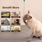 [Hometech] Cat Chew Toys for Playful Kittens