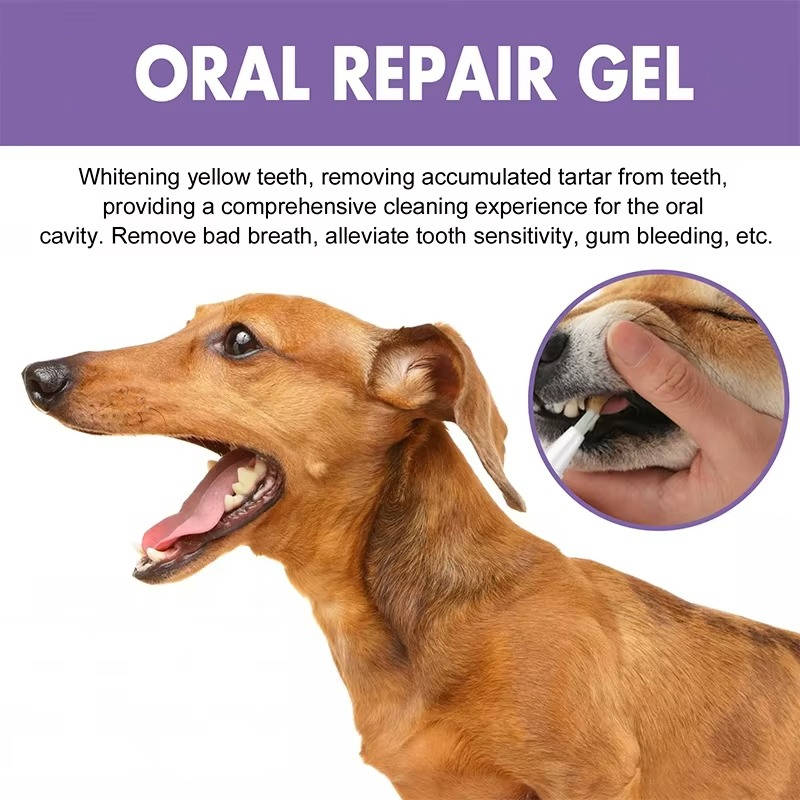 [Hometech] 3 Set Dog Oral Repair Gel