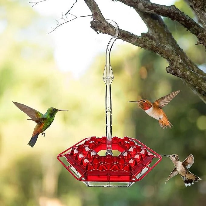 [Hometech] Ant Proof Hummingbird Feeder with Outdoor Hanging Perch