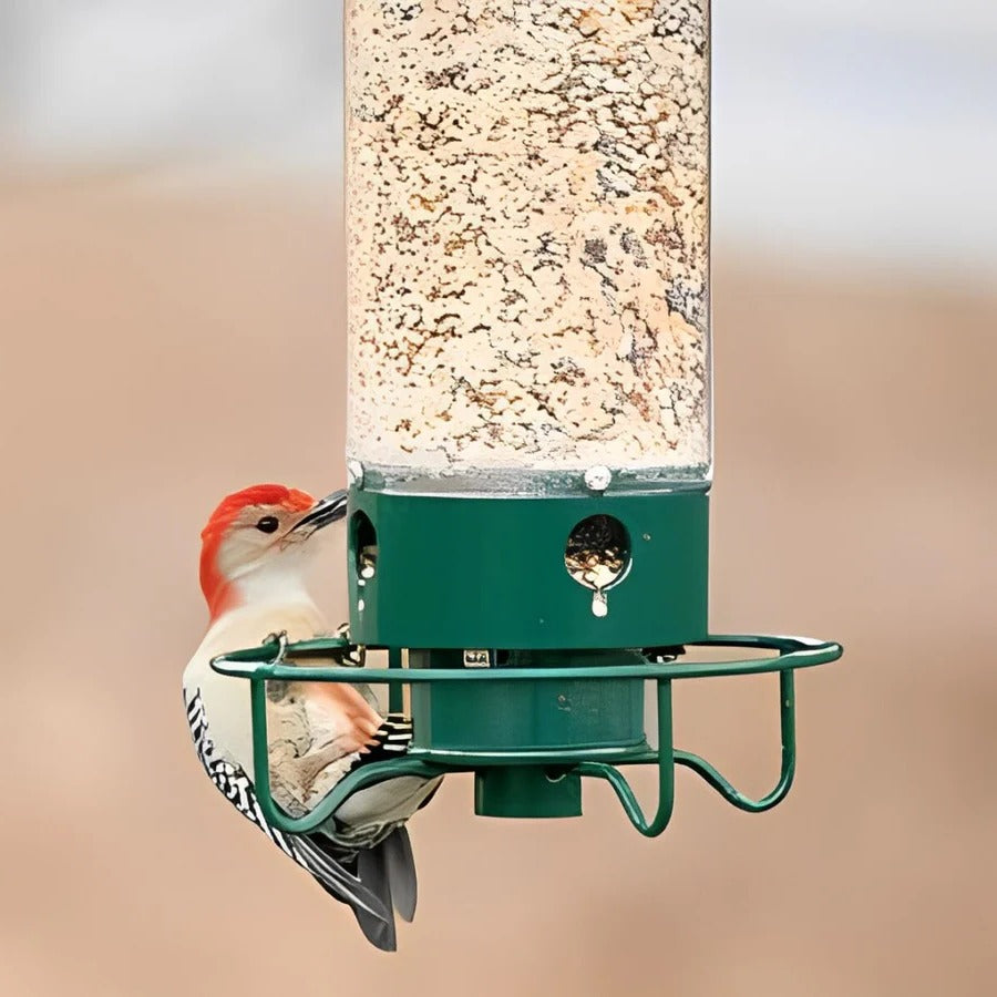 [Hometech] Squirrel Proof Bird Feeder