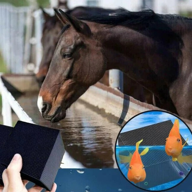 [Hometech] Water Purifier Bio Cube for Livestock Aquarium & Horse Trough