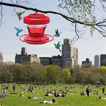 [Hometech] Hanging Bee Proof Hummingbird Water Feeders with Perch
