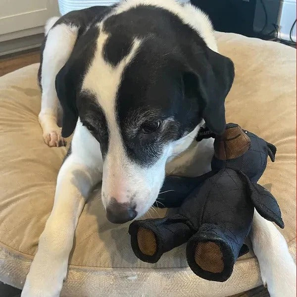 [Hometech] Chew Resistant Interactive Bear Dog Toys for Heavy Chewers