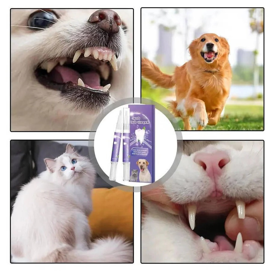 [Hometech] 3 Set Dog Oral Repair Gel