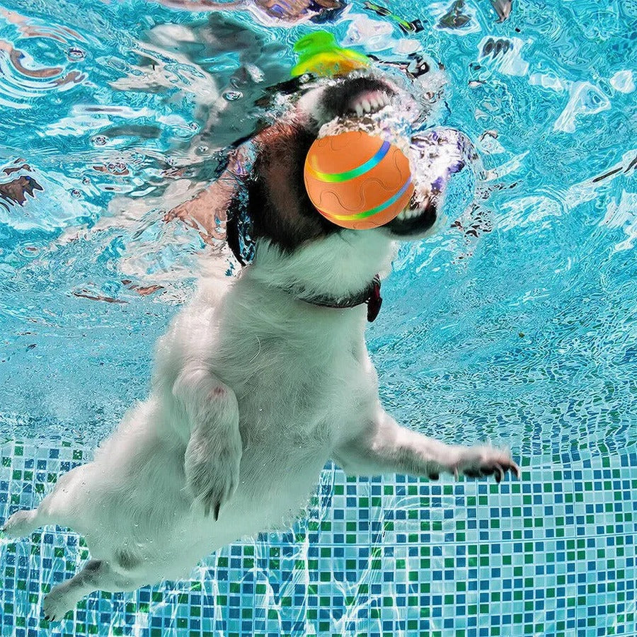 [Hometech] Interactive Dog and Cat Ball Toy