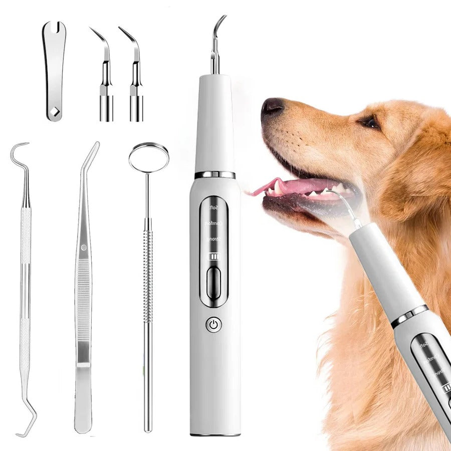 [Hometech] Dog Plaque, Tartar & Calculus Remover