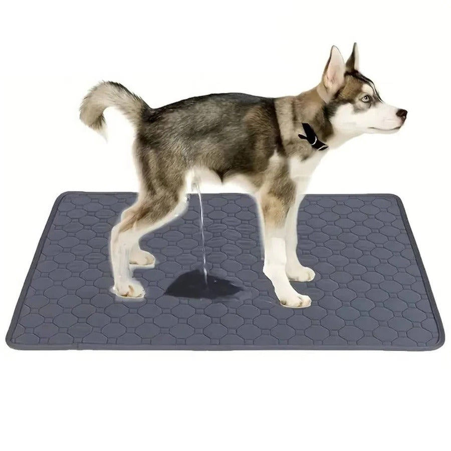 [Hometech] Dog Pee Pads Disposable and Reusable