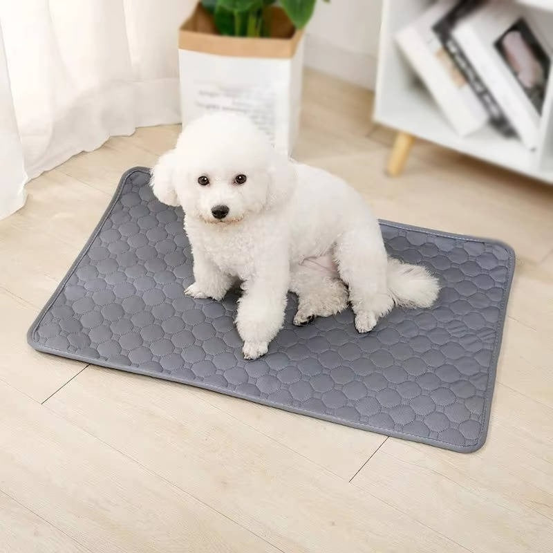 [Hometech] Dog Pee Pads Disposable and Reusable
