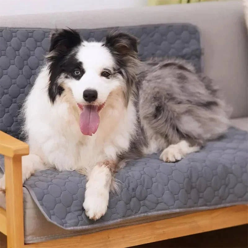 [Hometech] Dog Pee Pads Disposable and Reusable