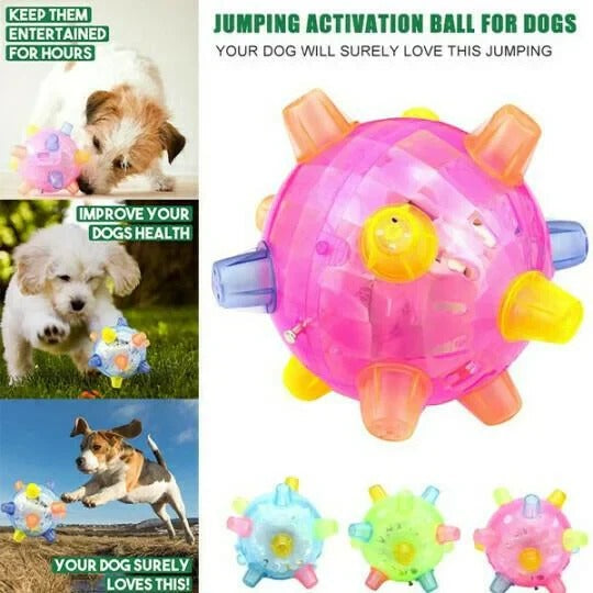 [Hometech] Jumping Activation Ball for Dogs, Interactive Bouncing Toy