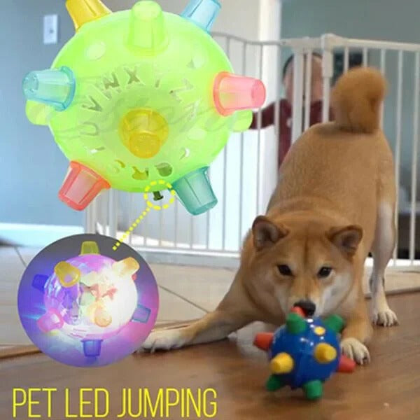 [Hometech] Jumping Activation Ball for Dogs, Interactive Bouncing Toy