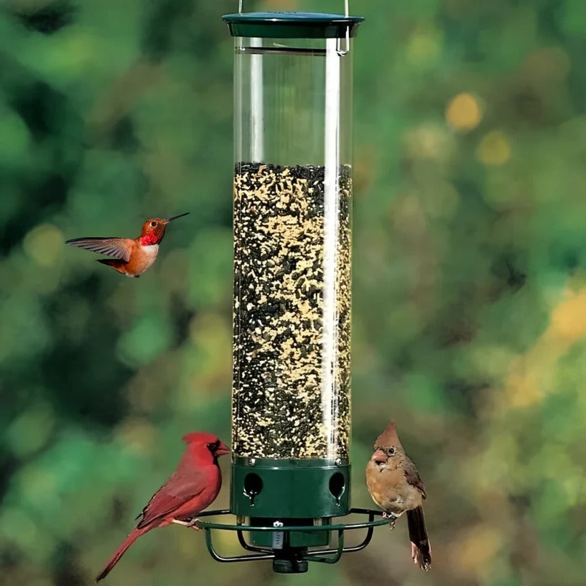 [Hometech] Weather Resistant Squirrel Proof Bird Feeder for Outdoor Use