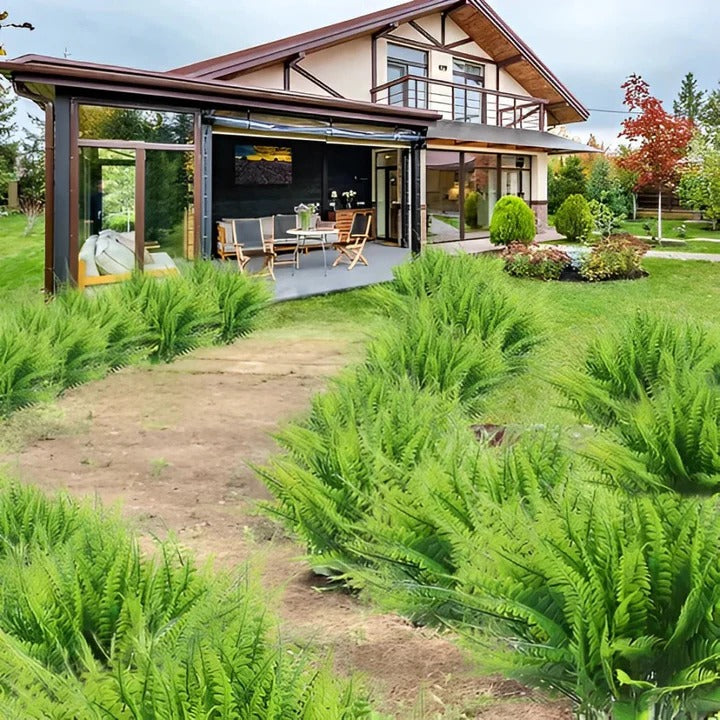 [Hometech] Decorative Artificial Boston Fern for Porch and Balcony Display