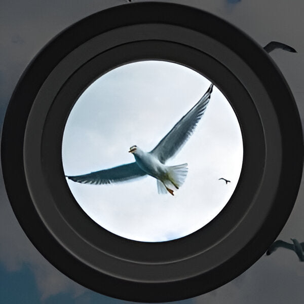 [Hometech] High Power Night Vision Binoculars with Digital Day and Night Viewing