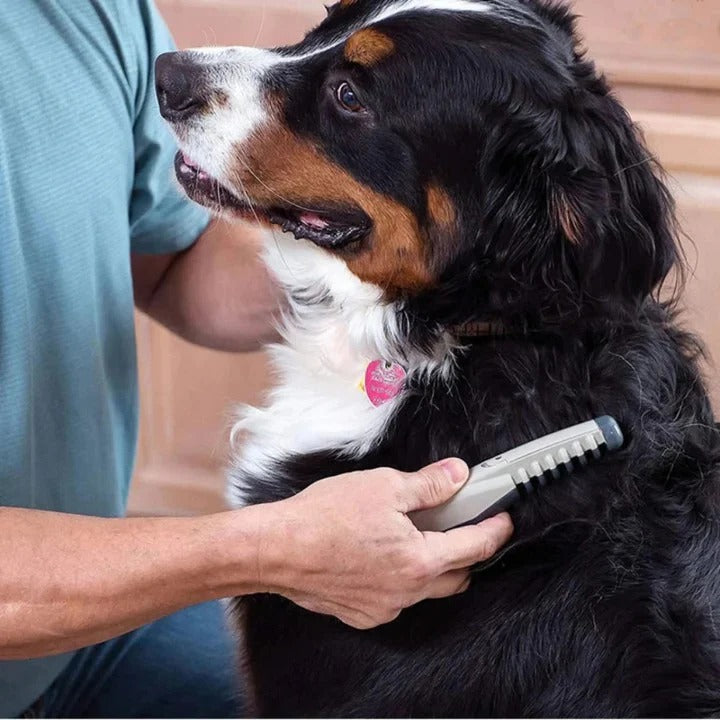 [Hometech] Anti Tangle Pet Grooming Rake For Dogs With Long Hair