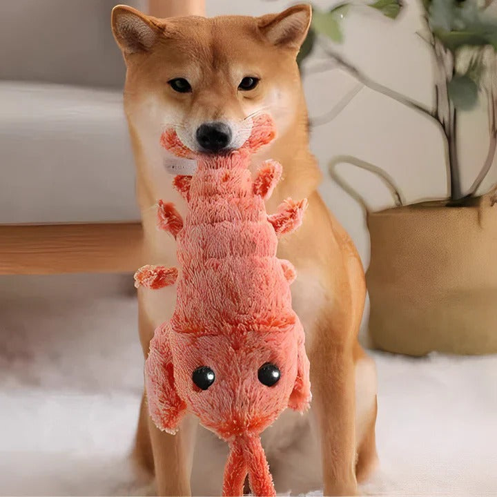 [Hometech] Floppy Lobster Dog Toy, Interactive Pet Toy