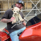 [Hometech] Plush Highland Cow Figure