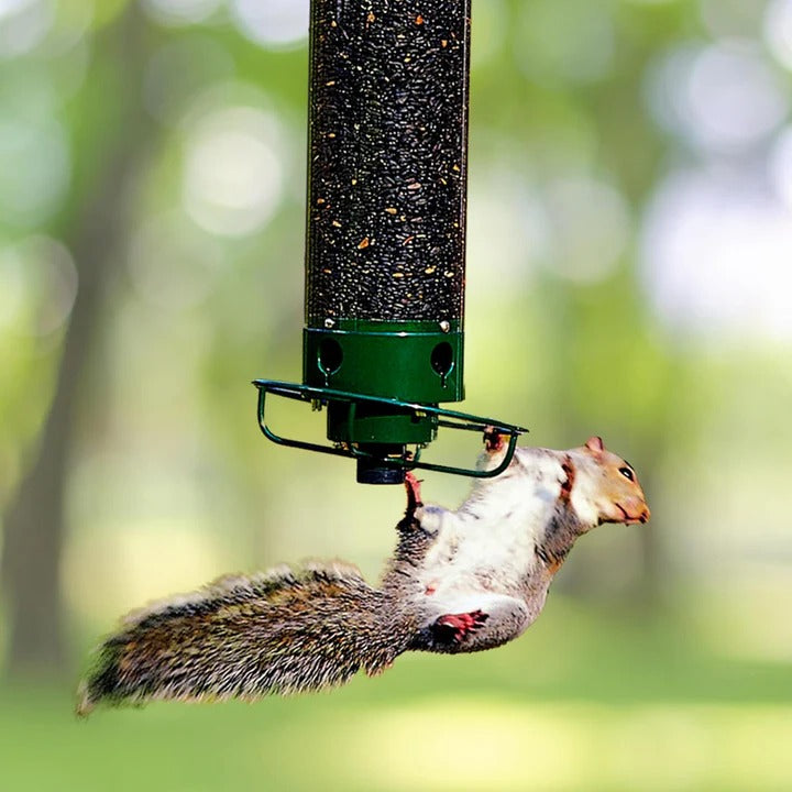 [Hometech] Bird Feeder with Squirrel Deterrent Features