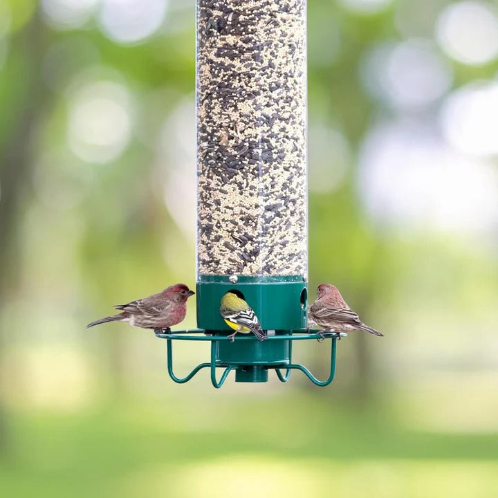 [Hometech] Bird Feeder with Squirrel Deterrent Features