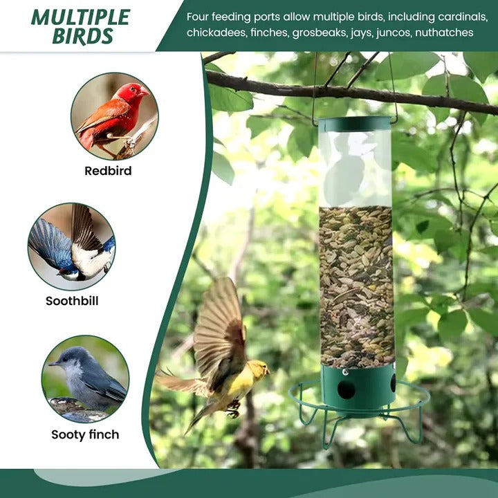 [Hometech] Bird Feeder with Squirrel Deterrent Features