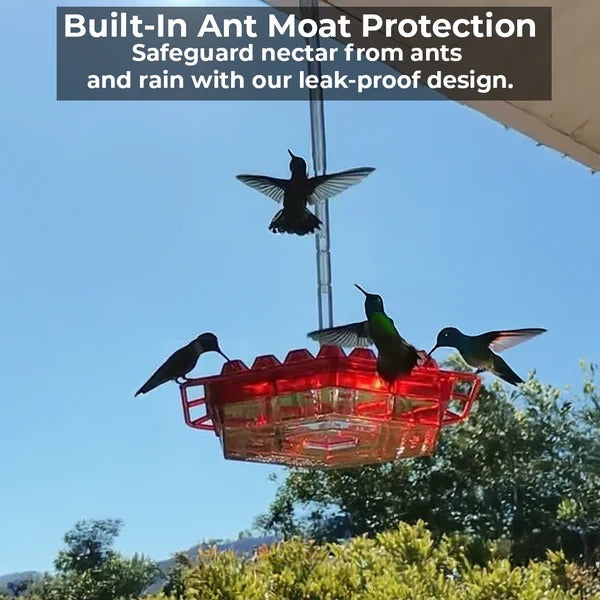 [Hometech] Outdoor Hummingbird Feeder with Ant Moat Feature