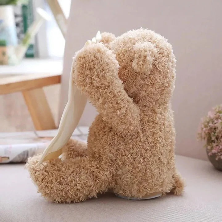 [Hometech] Peek A Boo Teddy Bear Plush Toy