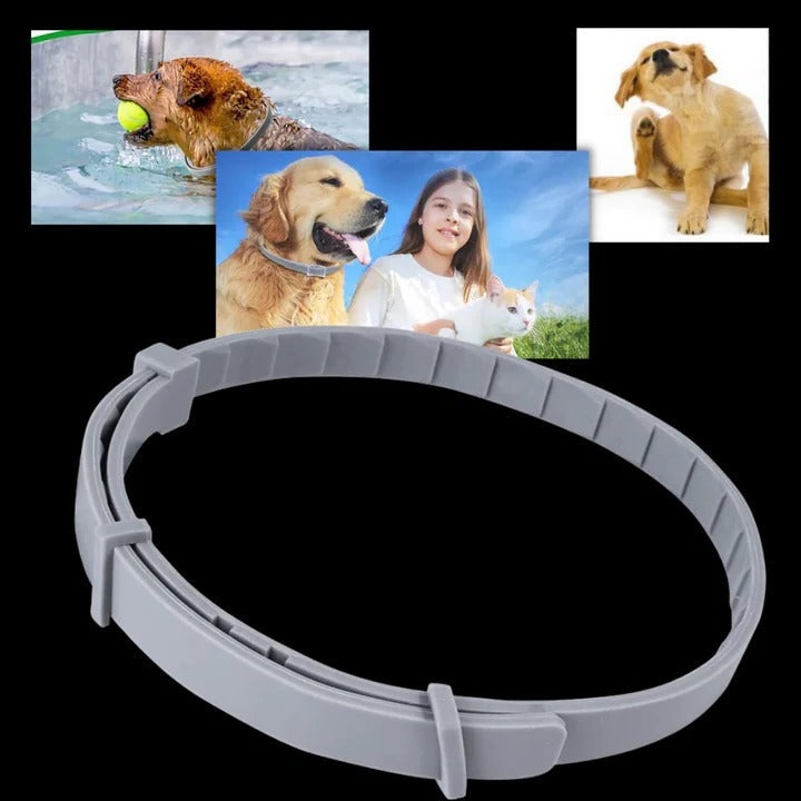 [Hometech] Adjustable Pet Collar for Dogs and Cats with Pest Deterrent