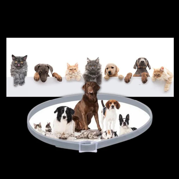 [Hometech] Adjustable Pet Collar for Dogs and Cats with Pest Deterrent