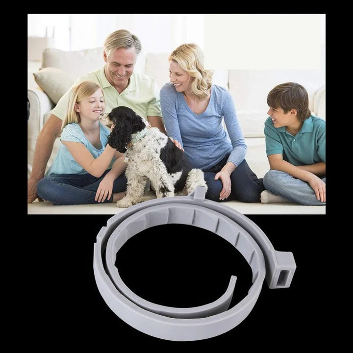 [Hometech] Adjustable Pet Collar for Dogs and Cats with Pest Deterrent