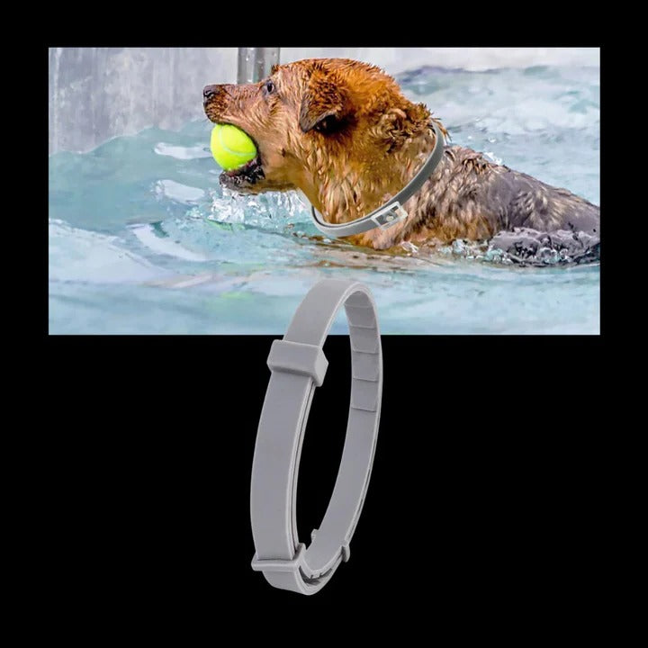 [Hometech] Adjustable Pet Collar for Dogs and Cats with Pest Deterrent