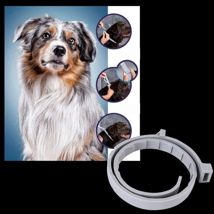 [Hometech] Adjustable Pet Collar for Dogs and Cats with Pest Deterrent