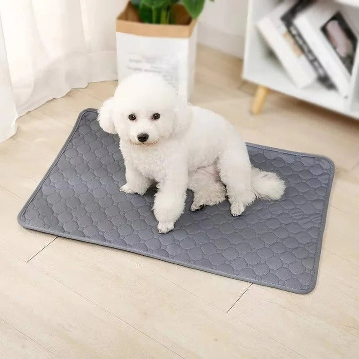 [Hometech] Dog Pee Pad with Reusable Four Layer Construction and TPU Base