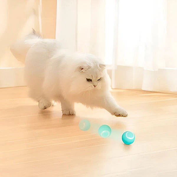 [Hometech] Automatic Rolling Pet Ball for Cats and Dogs with USB Charging