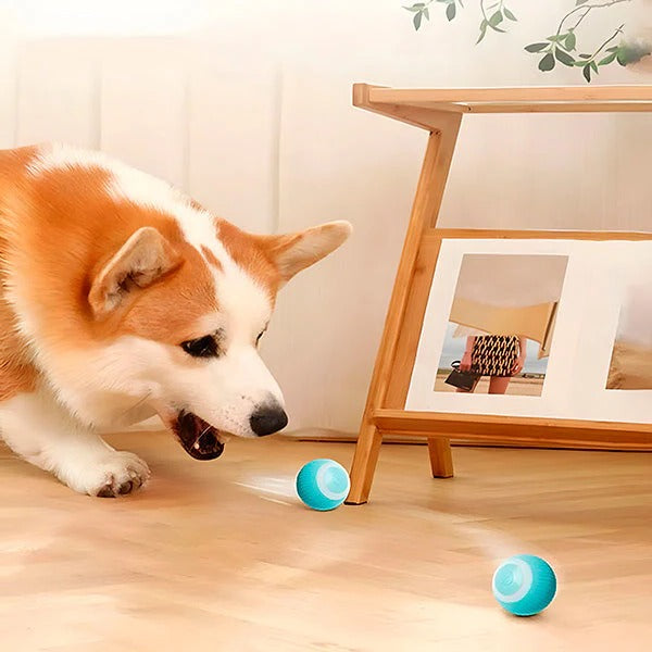 [Hometech] Automatic Rolling Pet Ball for Cats and Dogs with USB Charging