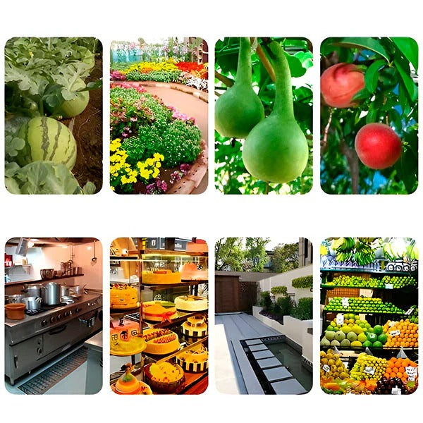 [Hometech] Hanging Fly Trap with Adhesive Sticky Layer, Set of 6