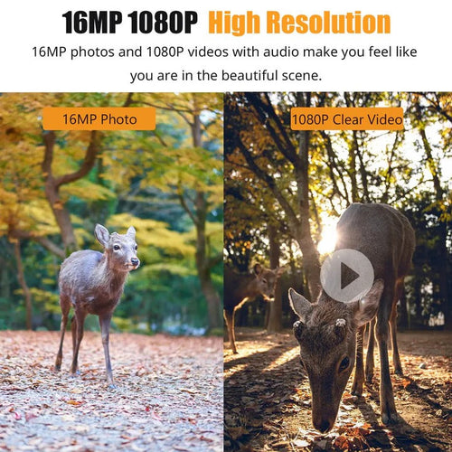 [Hometech] 1080P Trail Camera with Motion Sensor and Night Vision LEDs