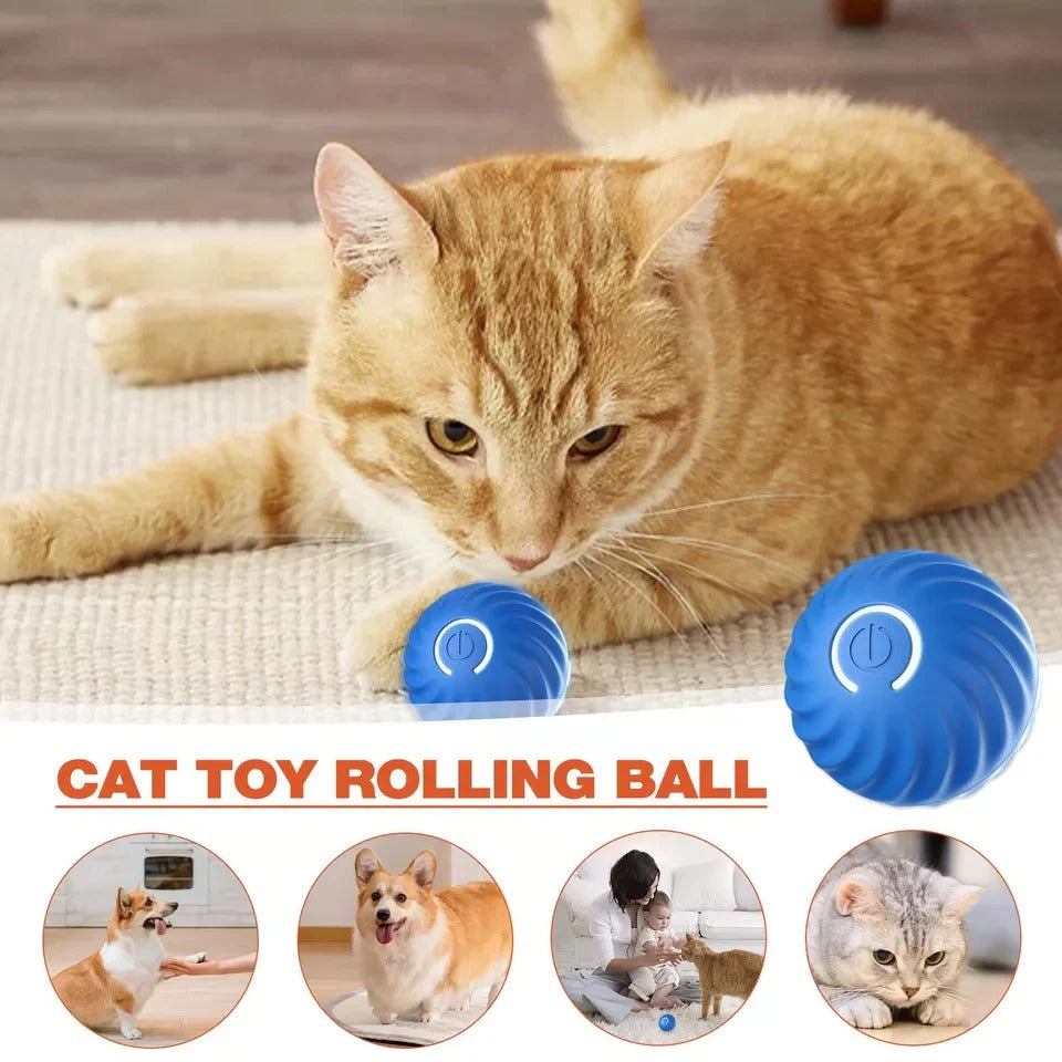 [Hometech] Motion Activated Rolling Ball Moving Toy for Pets