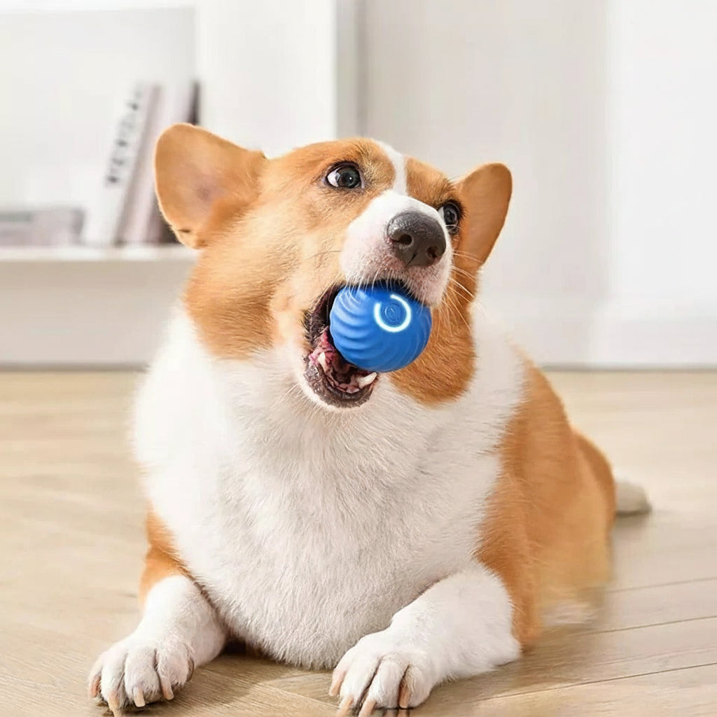 [Hometech] Motion Activated Rolling Ball Moving Toy for Pets