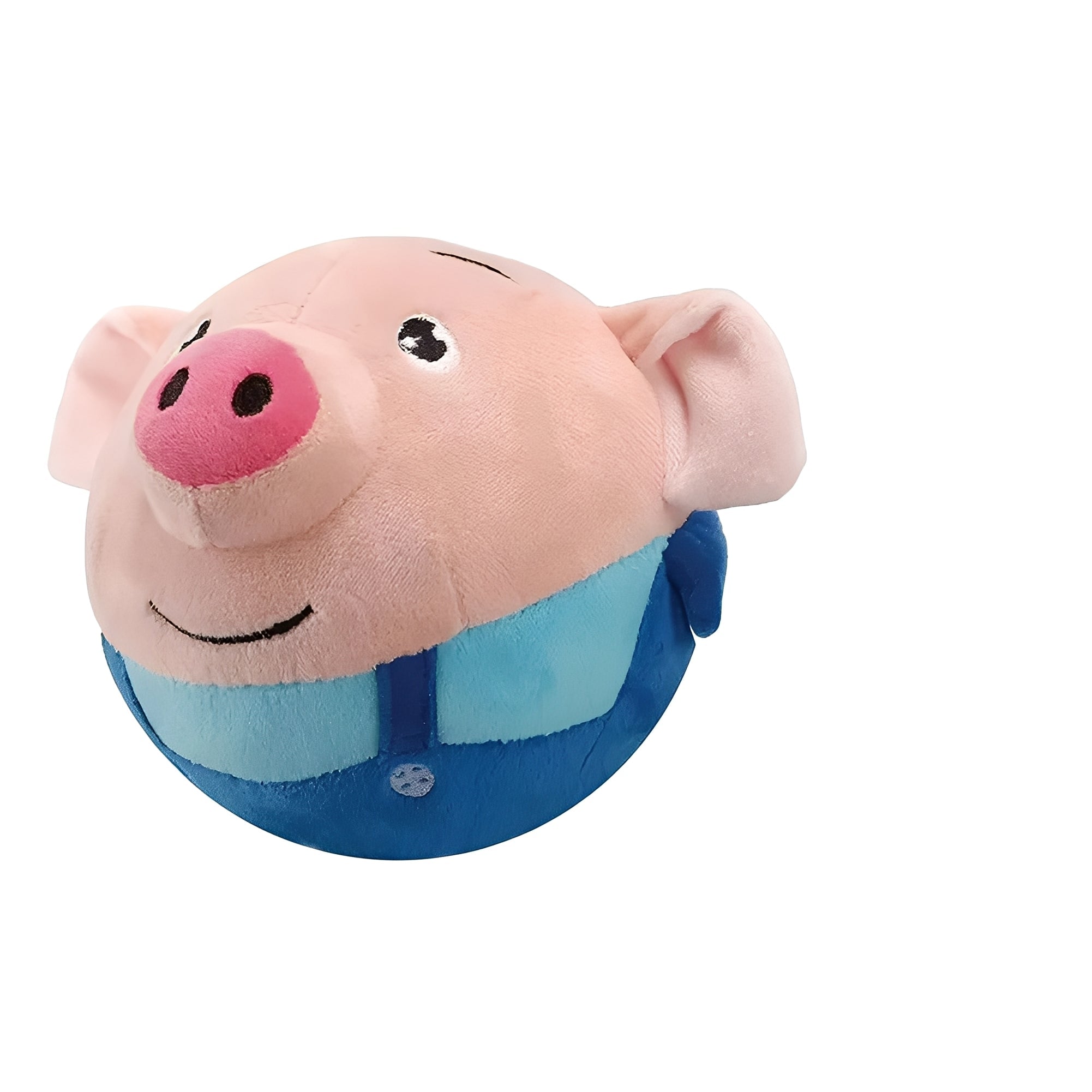 [Hometech] Dog Toy Ball with Touch Activated Music and Motion