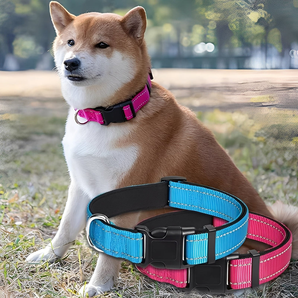 [Hometech] Adjustable Nylon Dog Collar with Clip Buckle