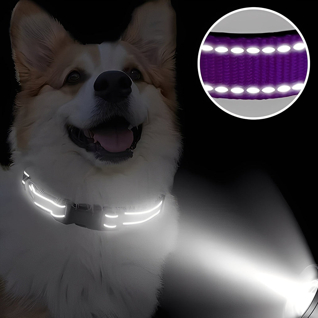 [Hometech] Adjustable Nylon Dog Collar with Clip Buckle