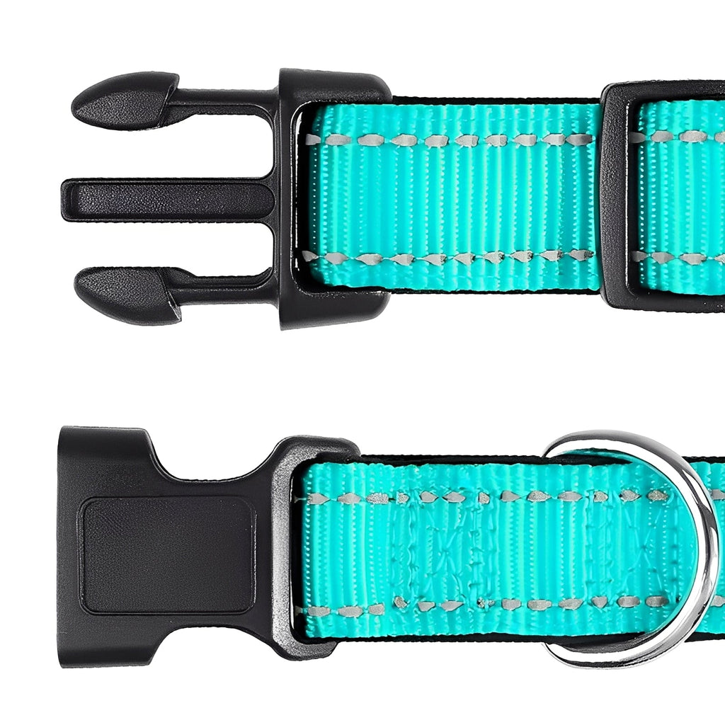 [Hometech] Adjustable Nylon Dog Collar with Clip Buckle