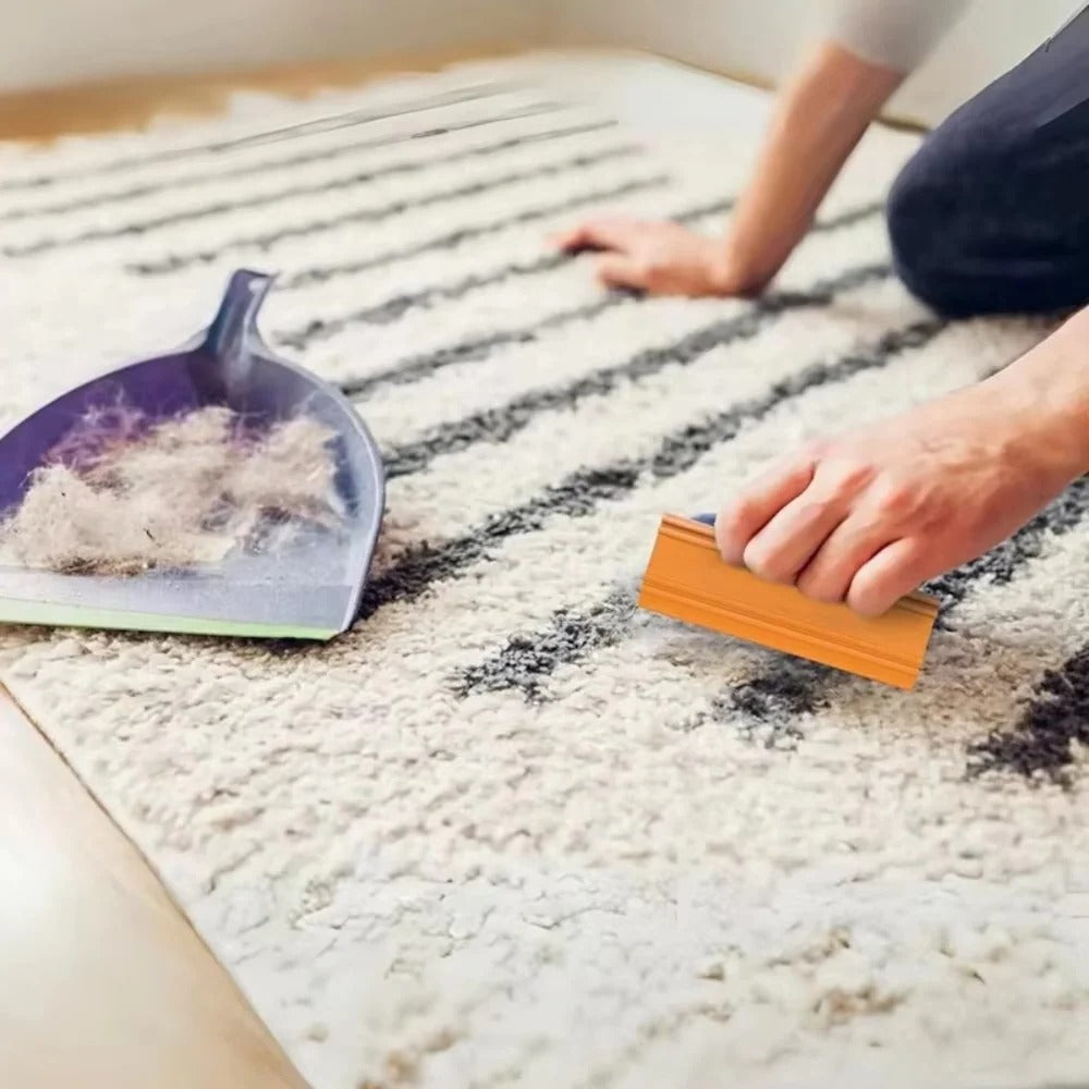 [Hometech] Portable Pet Hair Scraper for Carpets and Furniture