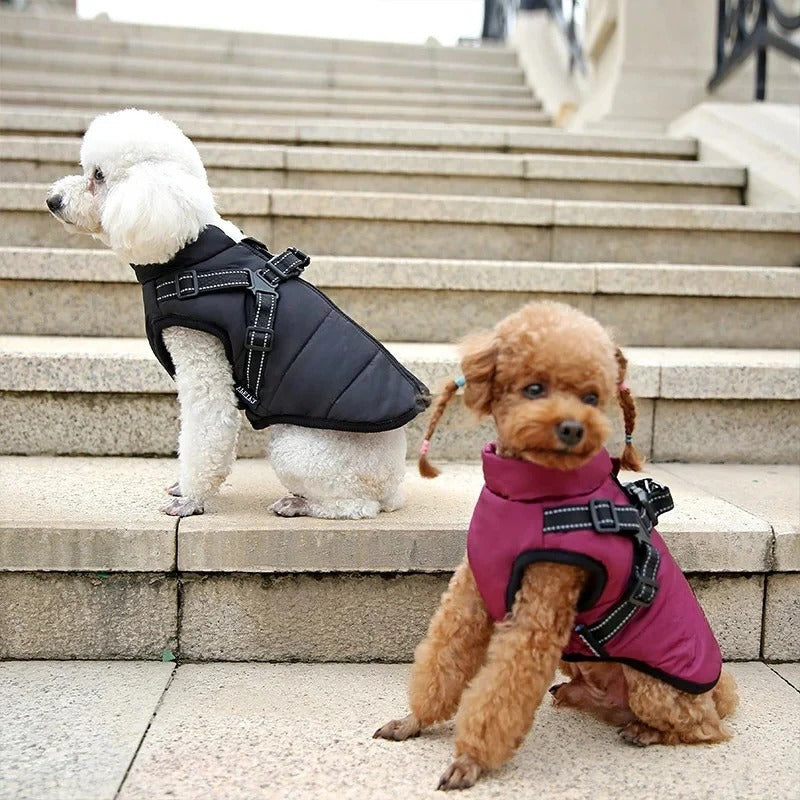 [Hometech] Insulated Dog Coat with Built In Harness for Cold Weather