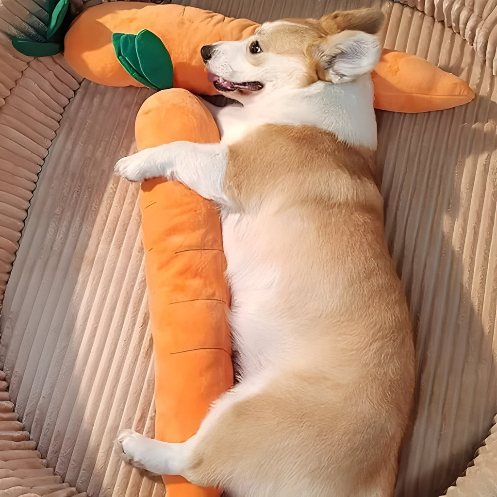 [Hometech] Plush Dog Toy with Sound in Carrot Shape