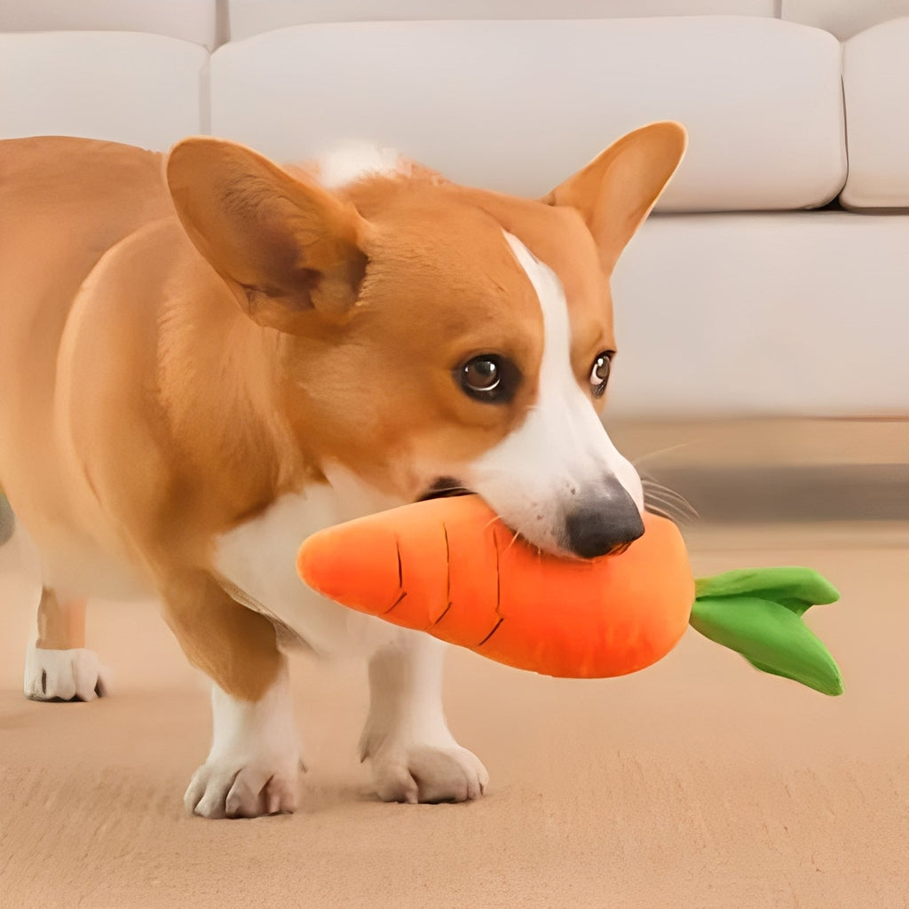 [Hometech] Plush Dog Toy with Sound in Carrot Shape