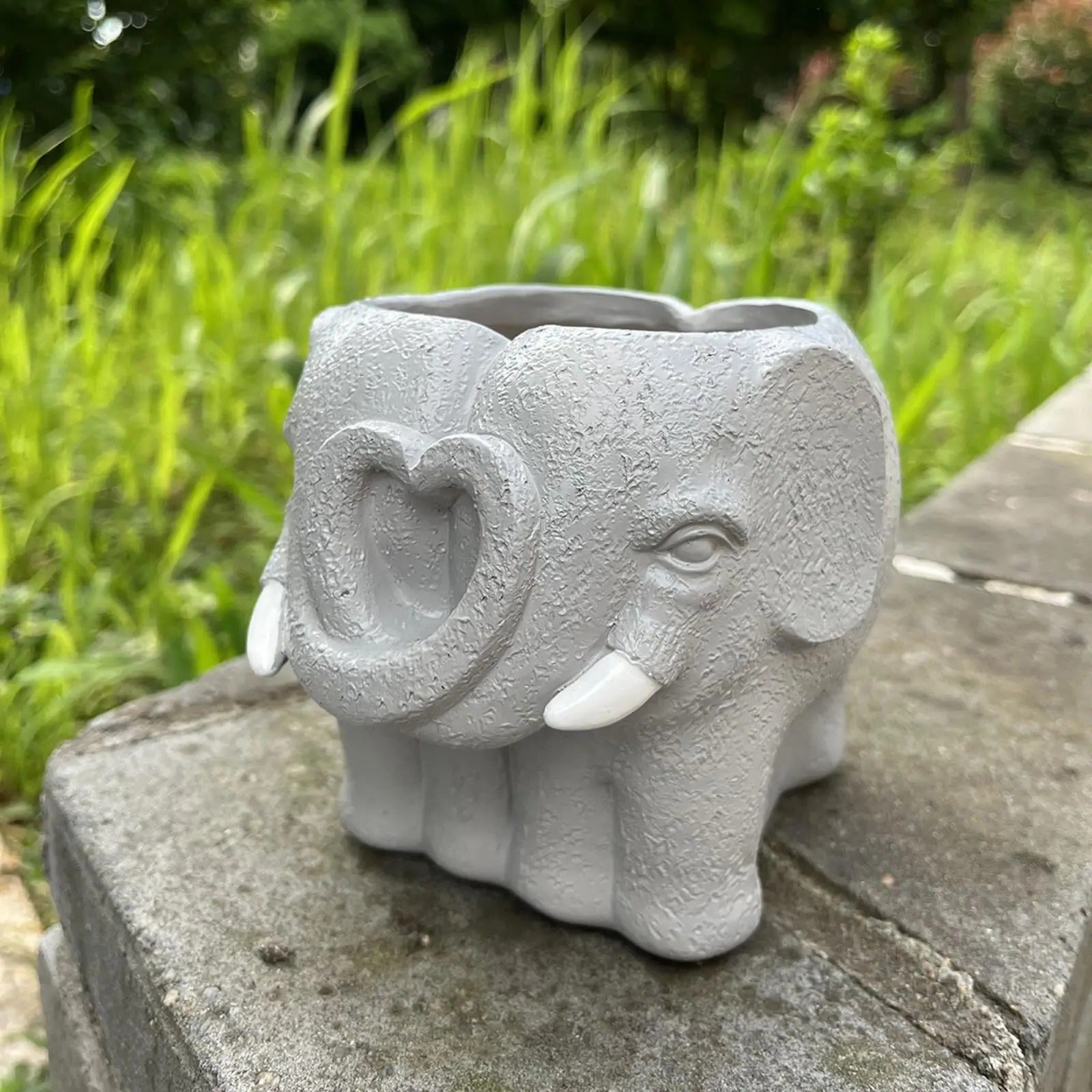 [Hometech] Small Cartoon Plant Pot for Succulents and Decorative Home Display