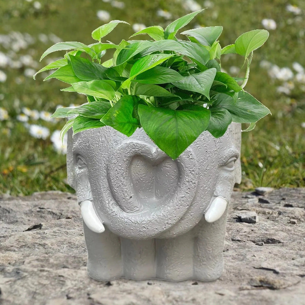 [Hometech] Small Cartoon Plant Pot for Succulents and Decorative Home Display