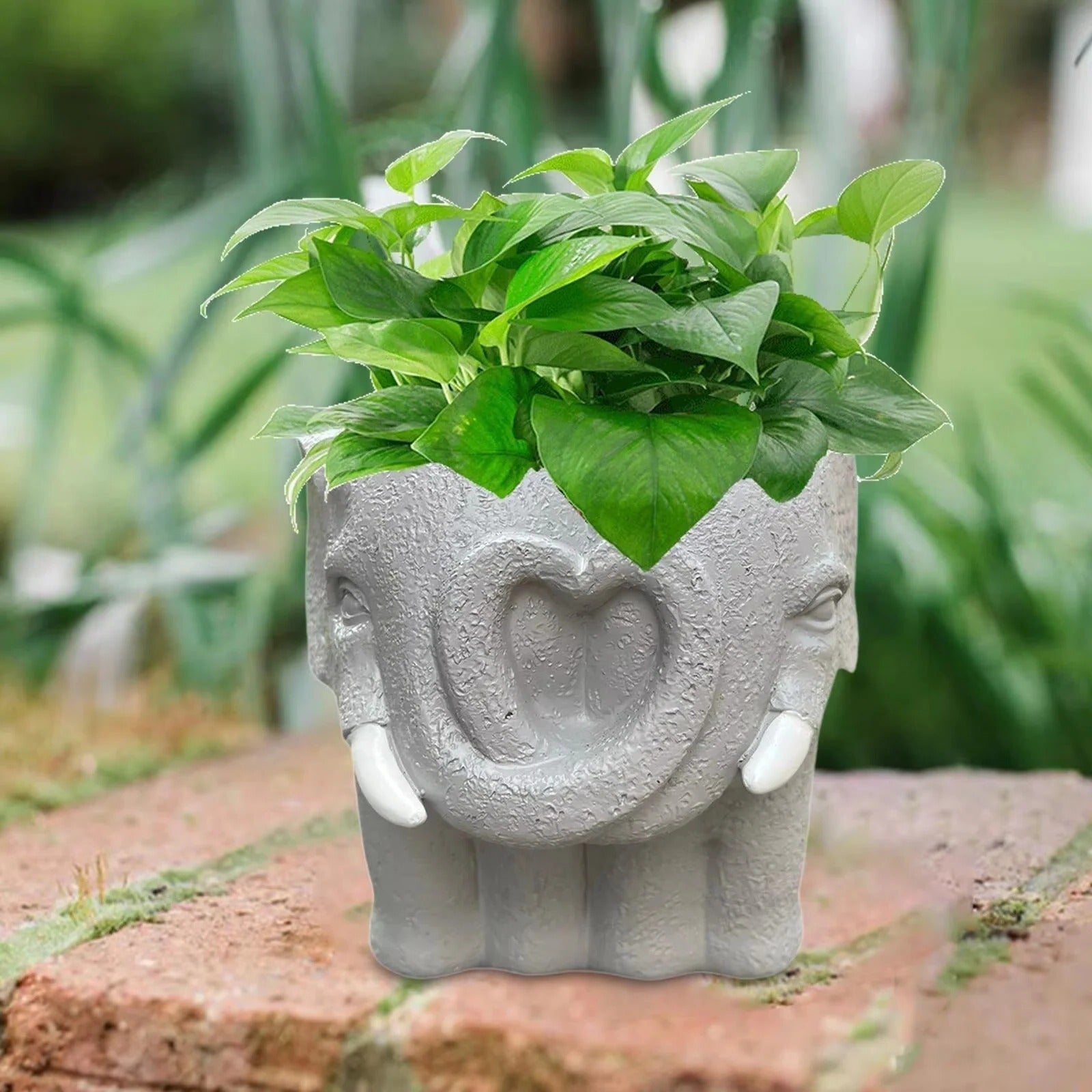 [Hometech] Small Cartoon Plant Pot for Succulents and Decorative Home Display