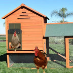 [Hometech] Automatic Chicken Coop Door with Light Sensor and Battery Operation